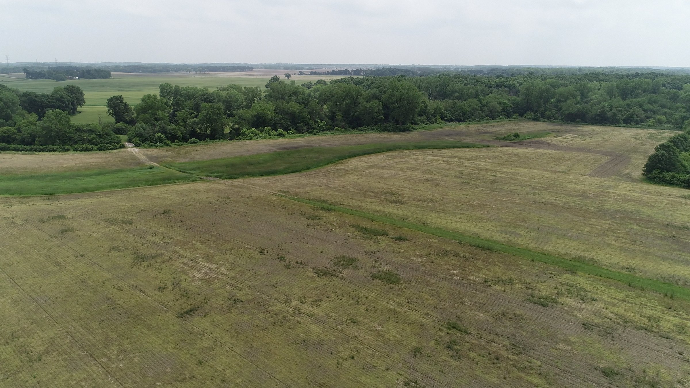Lake County, Indiana farmland - LAND AUCTION - 147+/- ACRES OFFERED IN 3 TRACTS IN LAKE COUNTY, INDIANA